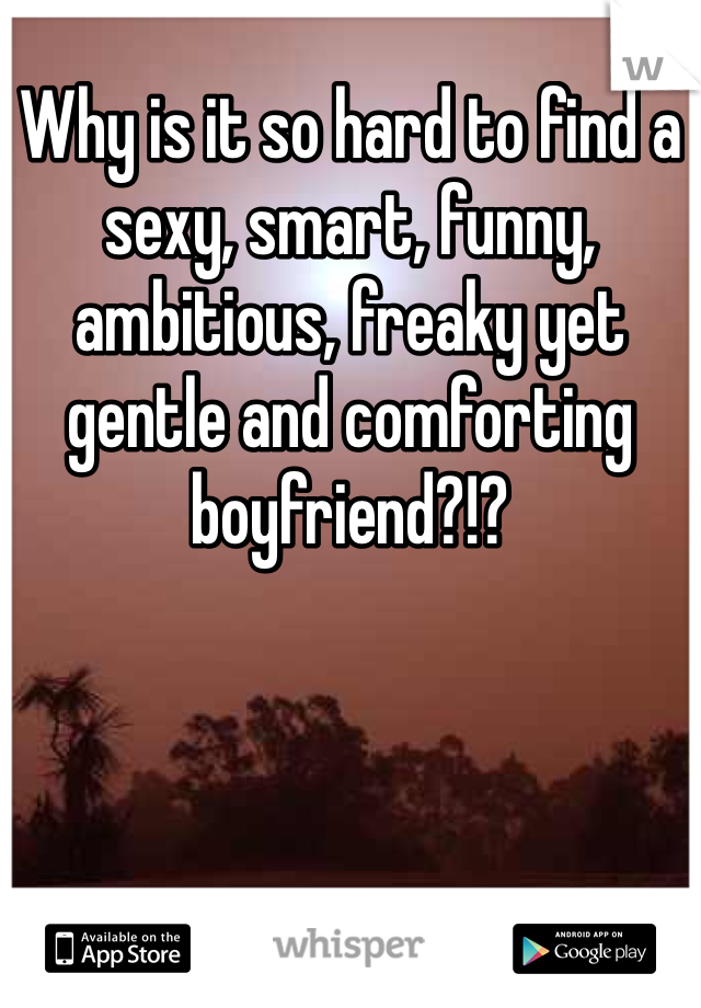Why is it so hard to find a sexy, smart, funny, ambitious, freaky yet gentle and comforting boyfriend?!? 