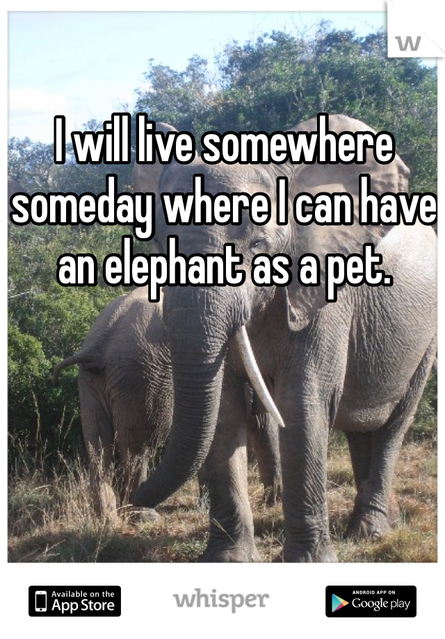 I will live somewhere someday where I can have an elephant as a pet. 