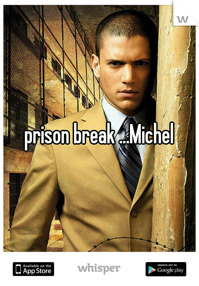 prison break ...Michel