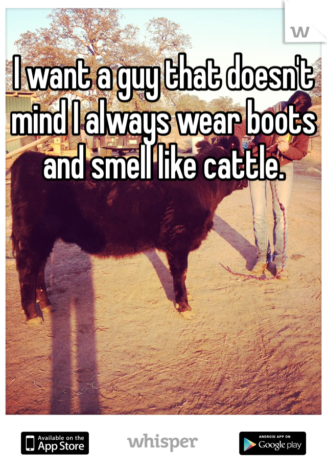 I want a guy that doesn't mind I always wear boots and smell like cattle.