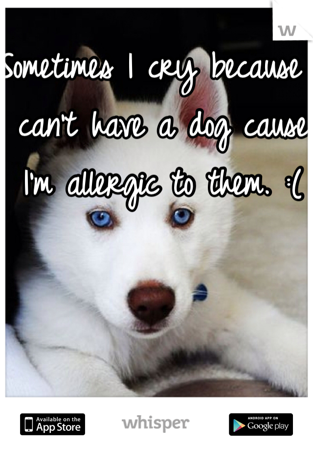 Sometimes I cry because I can't have a dog cause I'm allergic to them. :(