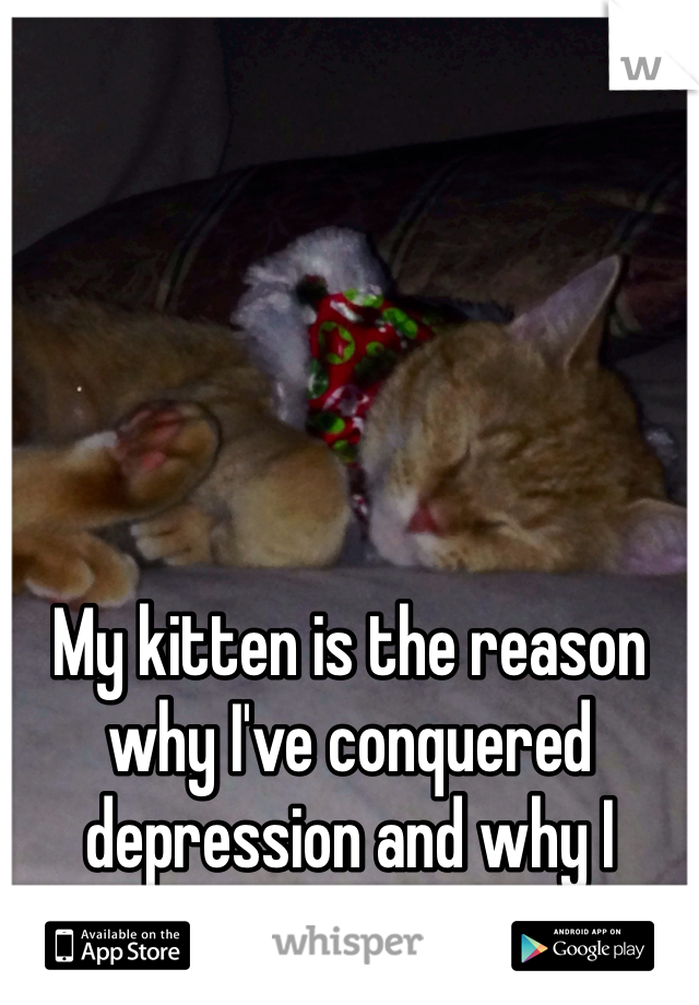 My kitten is the reason why I've conquered depression and why I choose to stay alive.