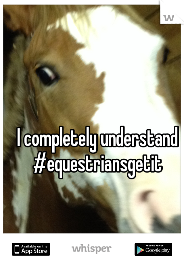 I completely understand #equestriansgetit