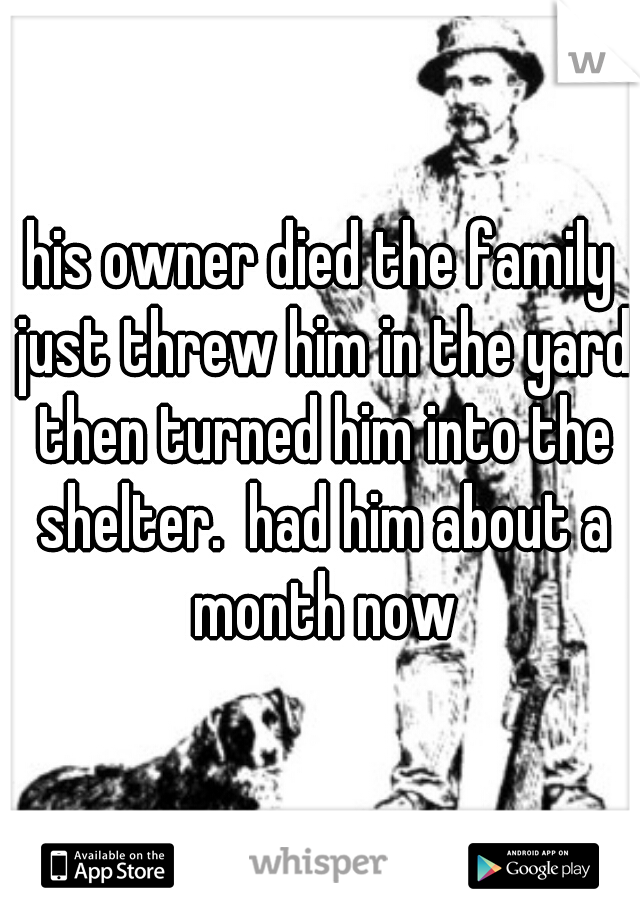 his owner died the family just threw him in the yard then turned him into the shelter.  had him about a month now