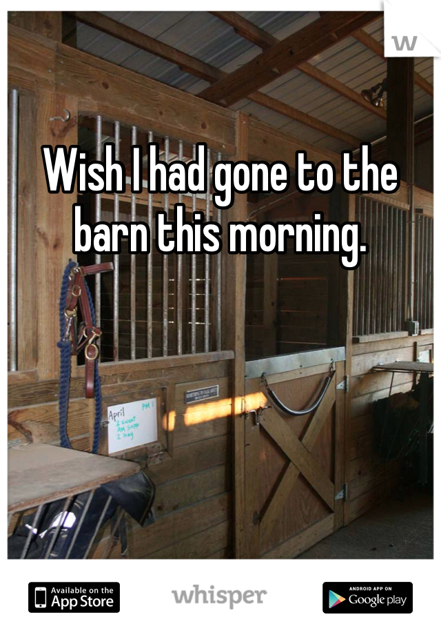 Wish I had gone to the barn this morning. 