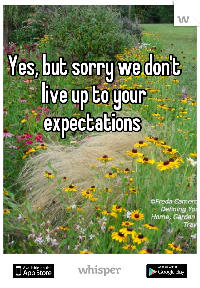 Yes, but sorry we don't live up to your expectations 