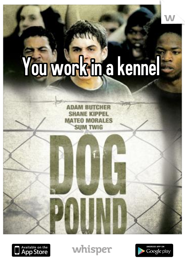 You work in a kennel 