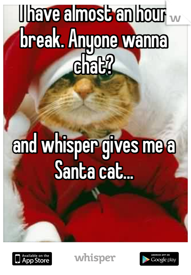 I have almost an hour break. Anyone wanna chat?


and whisper gives me a Santa cat...