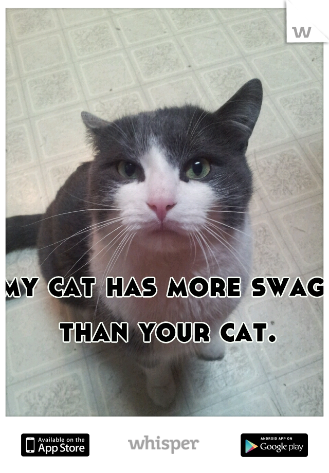 my cat has more swag than your cat.