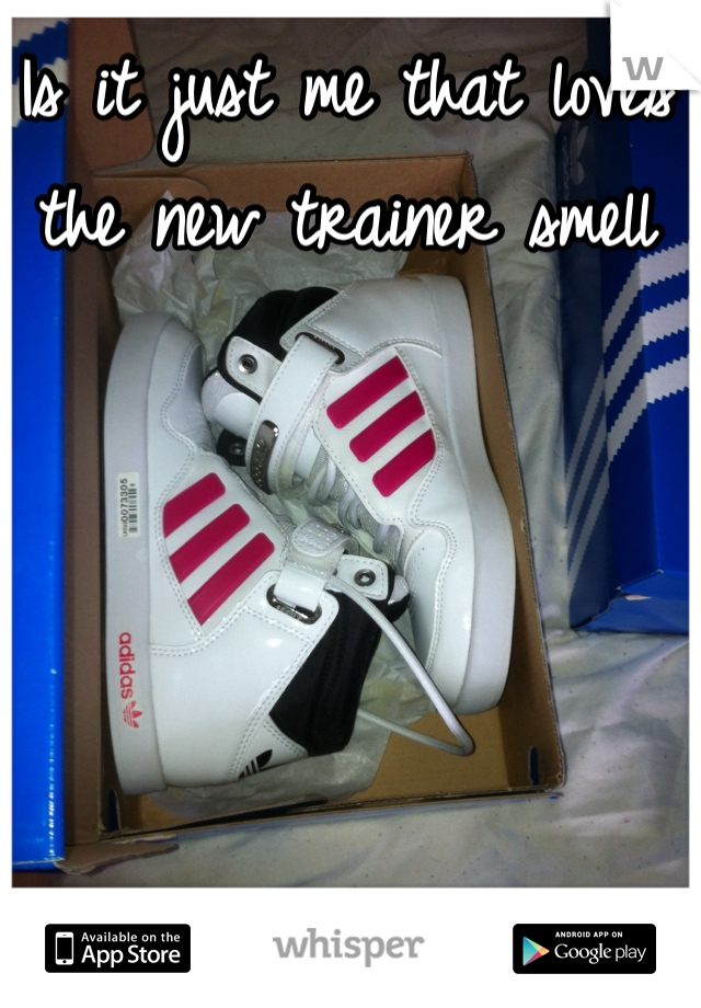 Is it just me that loves the new trainer smell 