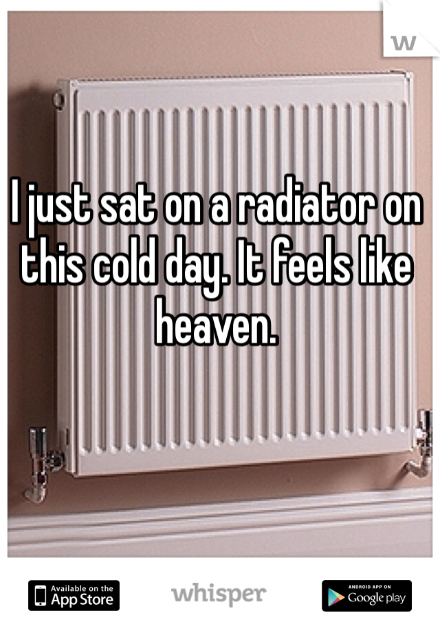 I just sat on a radiator on this cold day. It feels like heaven.