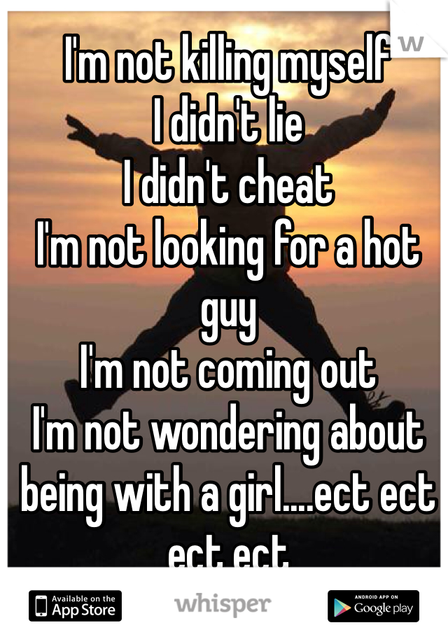 I'm not killing myself
I didn't lie
I didn't cheat
I'm not looking for a hot guy
I'm not coming out
I'm not wondering about being with a girl....ect ect ect ect 
