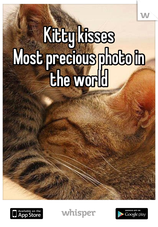 Kitty kisses
Most precious photo in the world