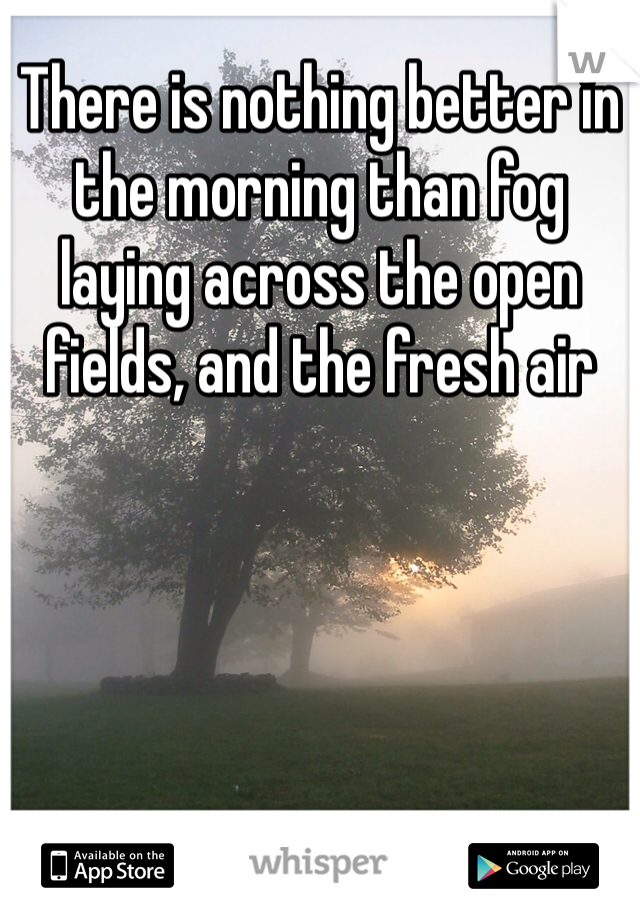 There is nothing better in the morning than fog laying across the open fields, and the fresh air