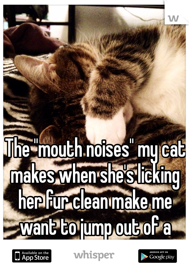 The "mouth noises" my cat makes when she's licking her fur clean make me want to jump out of a window 