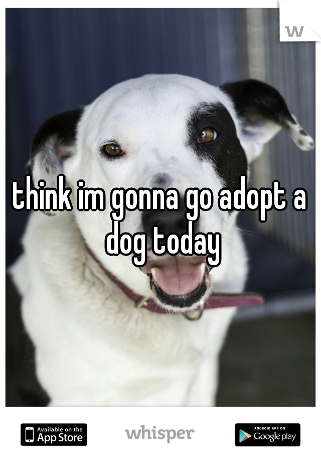 think im gonna go adopt a dog today