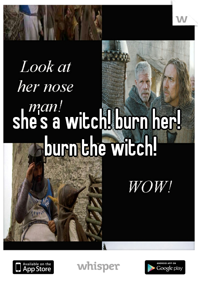 she's a witch! burn her!  burn the witch!