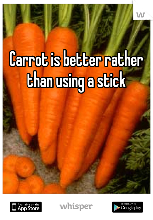 Carrot is better rather than using a stick