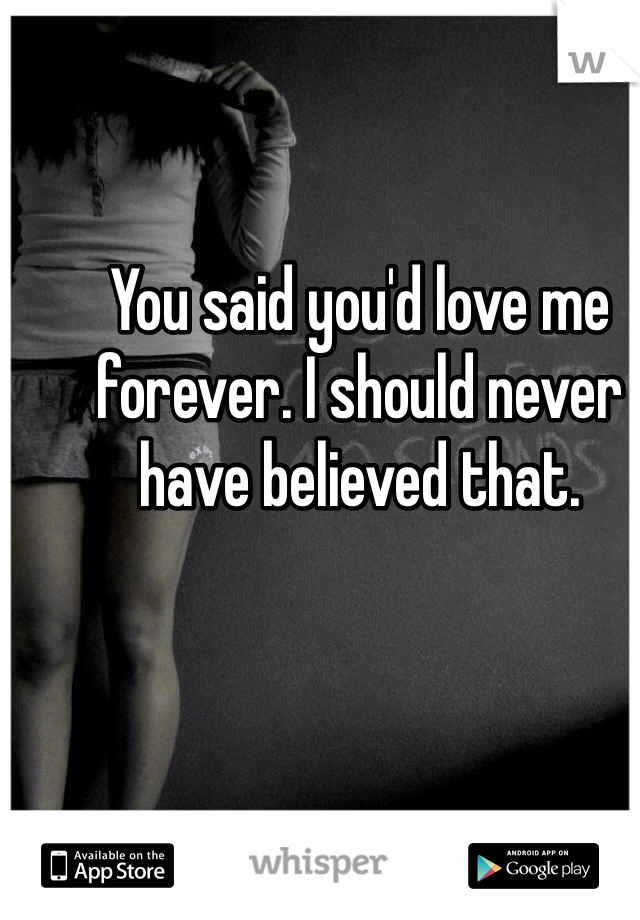 You said you'd love me forever. I should never have believed that. 