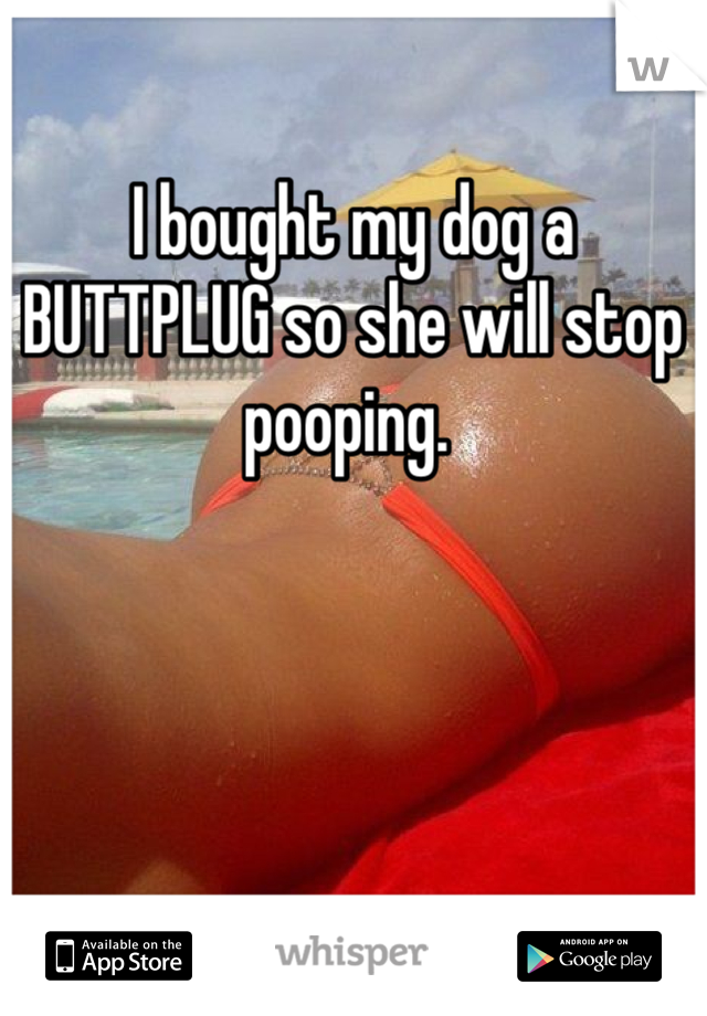 I bought my dog a BUTTPLUG so she will stop pooping. 