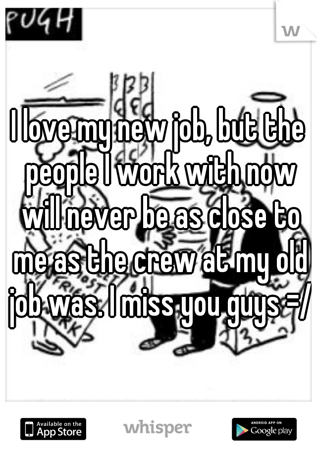 I love my new job, but the people I work with now will never be as close to me as the crew at my old job was. I miss you guys =/