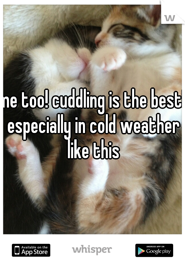 me too! cuddling is the best! especially in cold weather like this