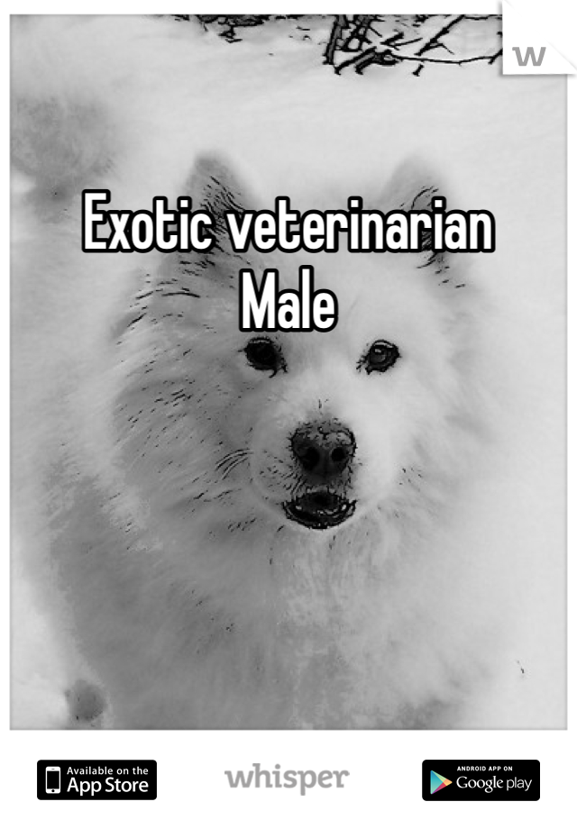 Exotic veterinarian 
Male