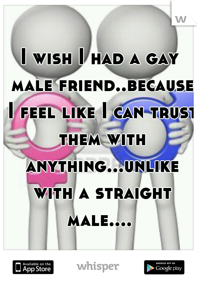 I wish I had a gay male friend..because I feel like I can trust them with anything...unlike with a straight male.... 