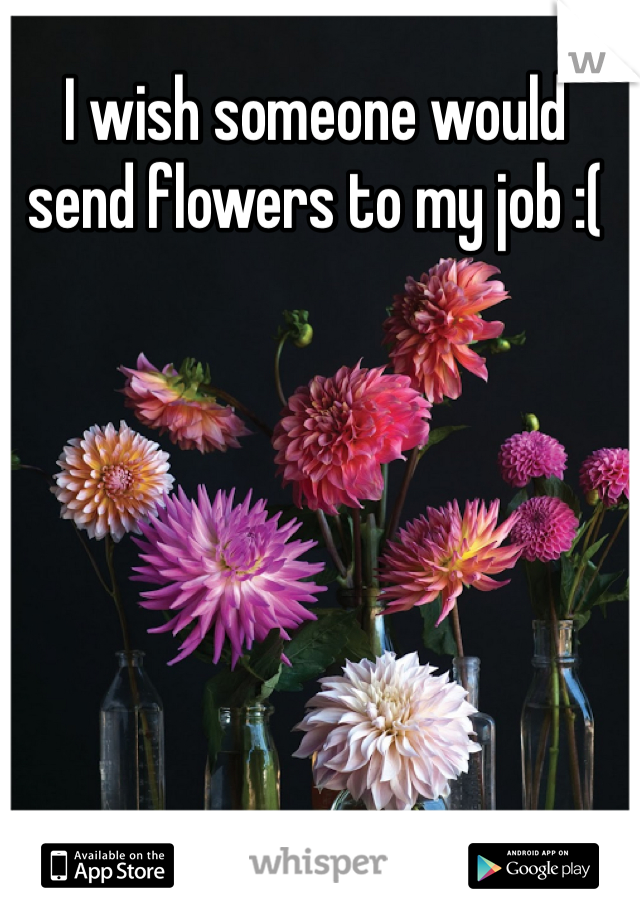 I wish someone would send flowers to my job :(