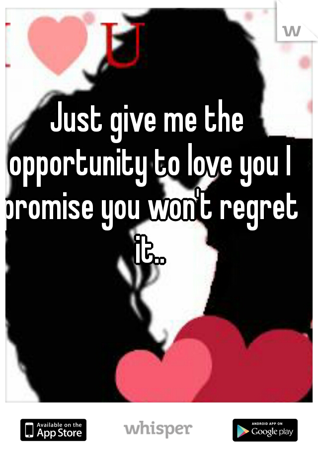 Just give me the opportunity to love you I promise you won't regret it..