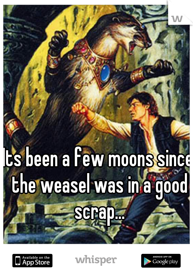 Its been a few moons since the weasel was in a good scrap...