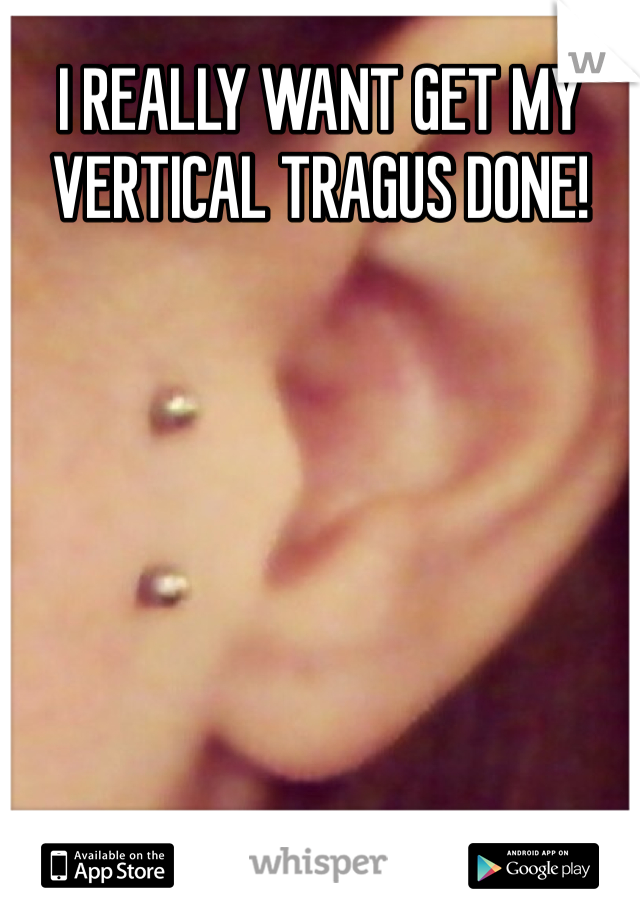 I REALLY WANT GET MY VERTICAL TRAGUS DONE!