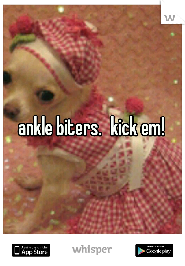 ankle biters.
kick em!