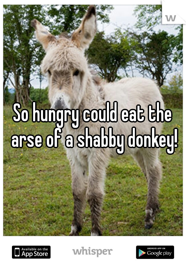 So hungry could eat the arse of a shabby donkey!