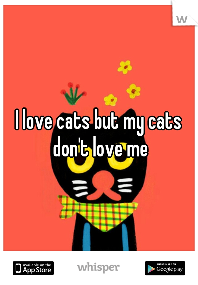 I love cats but my cats don't love me