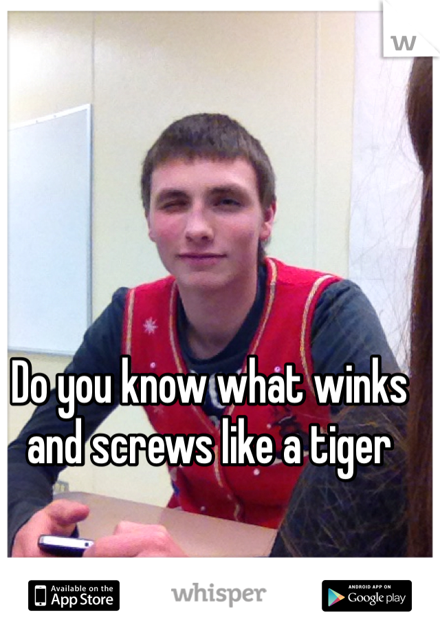 Do you know what winks and screws like a tiger