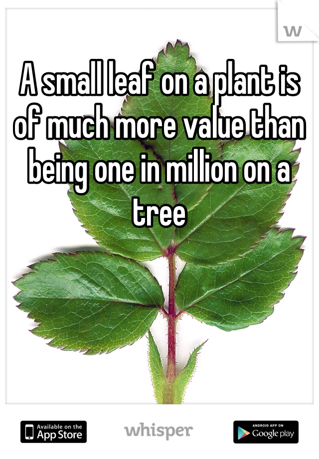 A small leaf on a plant is of much more value than being one in million on a tree