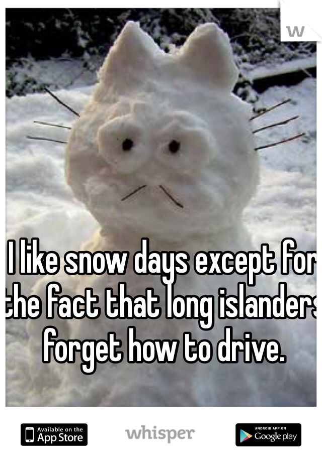 I like snow days except for the fact that long islanders forget how to drive. 