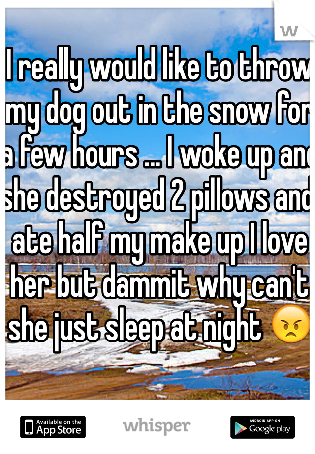 I really would like to throw my dog out in the snow for a few hours ... I woke up and she destroyed 2 pillows and ate half my make up I love her but dammit why can't she just sleep at night 😠 