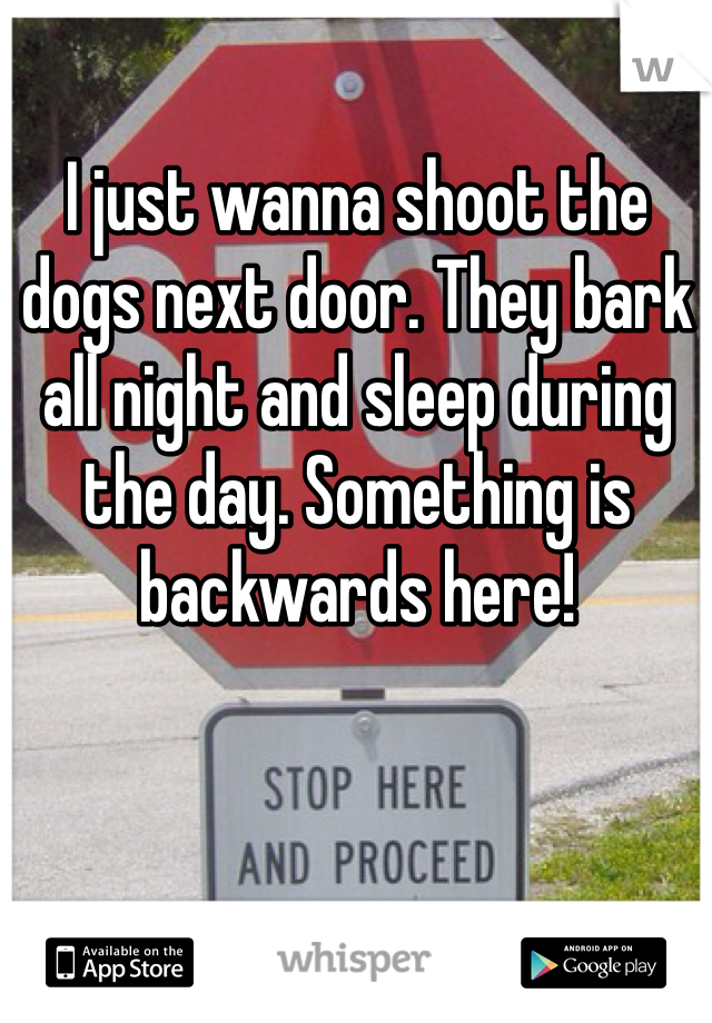 I just wanna shoot the dogs next door. They bark all night and sleep during the day. Something is  backwards here!