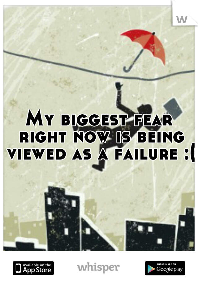 My biggest fear right now is being viewed as a failure :(