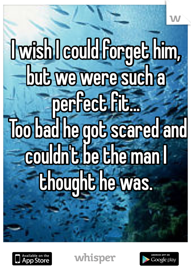 I wish I could forget him, but we were such a perfect fit...
 Too bad he got scared and couldn't be the man I thought he was. 