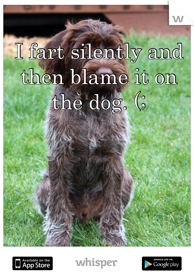 I fart silently and then blame it on the dog. (; 