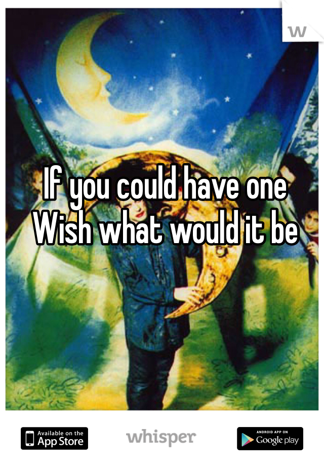 If you could have one 
Wish what would it be
