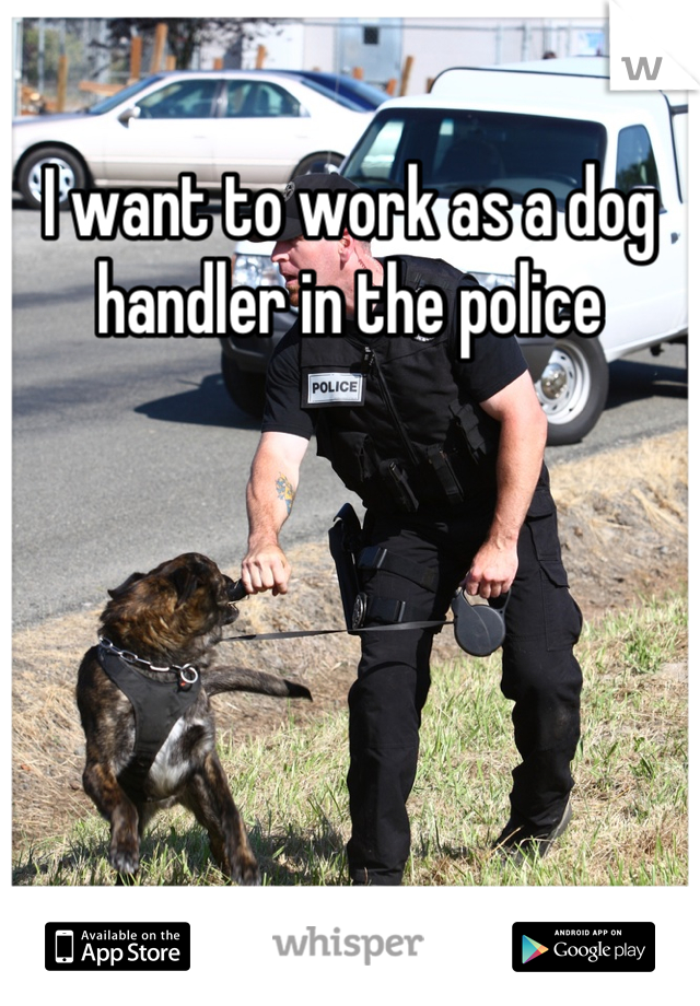 I want to work as a dog handler in the police