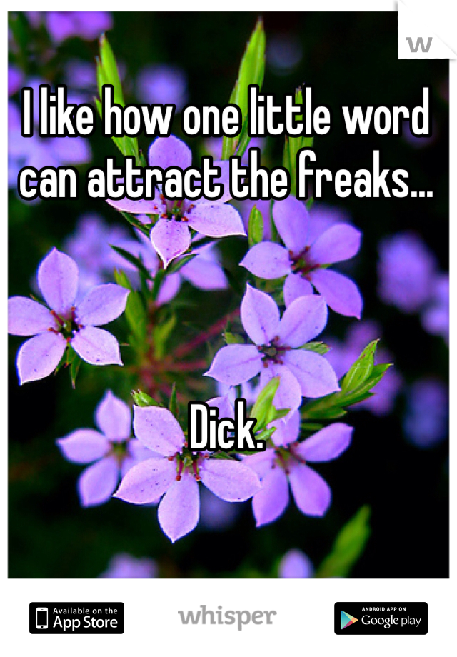 I like how one little word can attract the freaks...



Dick. 