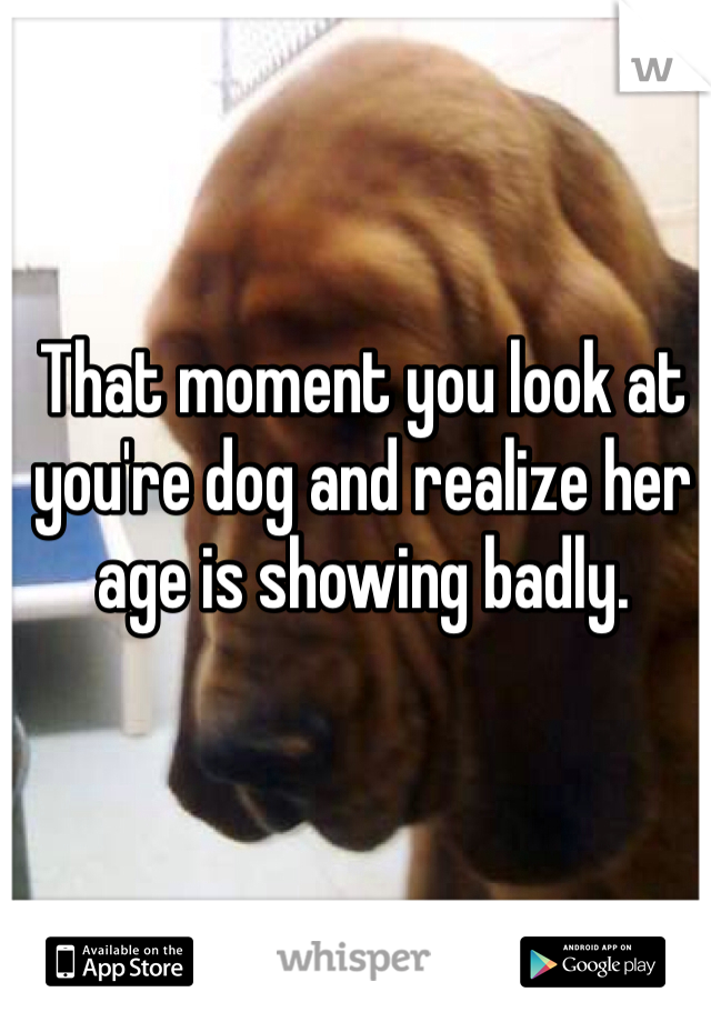 That moment you look at you're dog and realize her age is showing badly. 