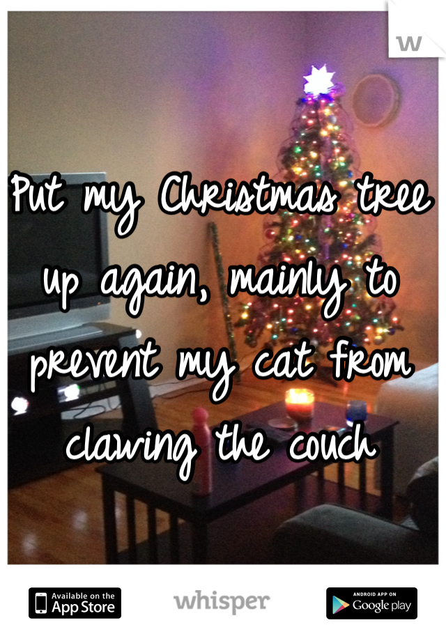 Put my Christmas tree up again, mainly to prevent my cat from clawing the couch