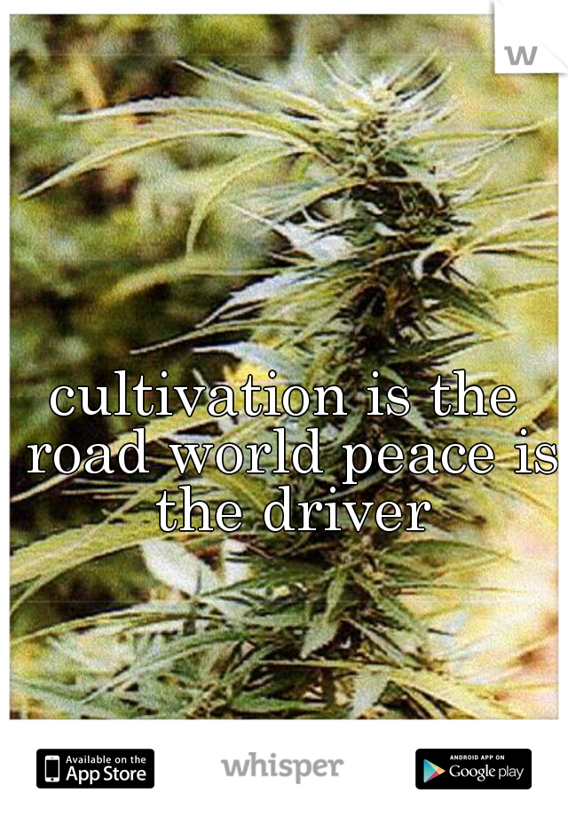 cultivation is the road world peace is the driver