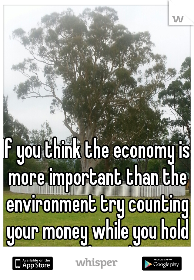 If you think the economy is more important than the environment try counting your money while you hold your breath. 